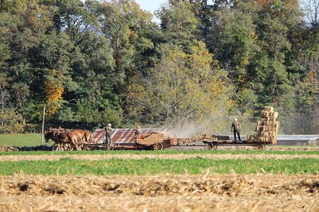 Rural county lancaster