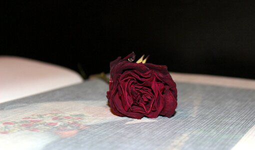 Memories love romance