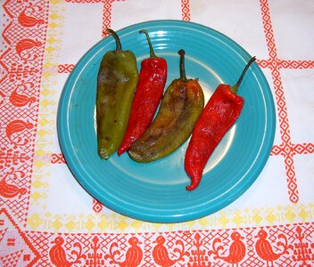 Southwest chile spicy