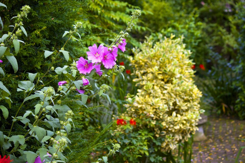 Summer gardening spring