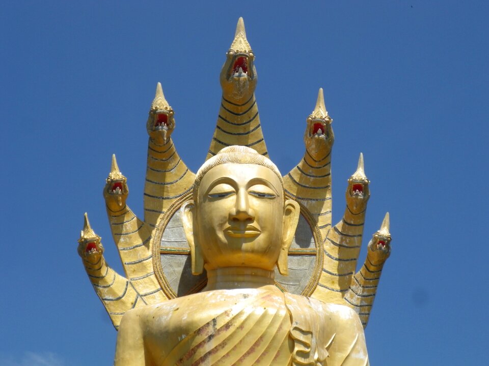 Buddah snake heads thailand