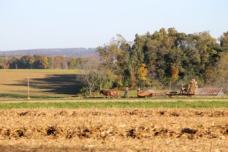 Rural county lancaster photo