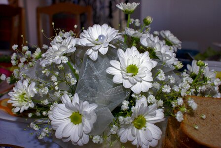 Decoration white daisy flowers communion