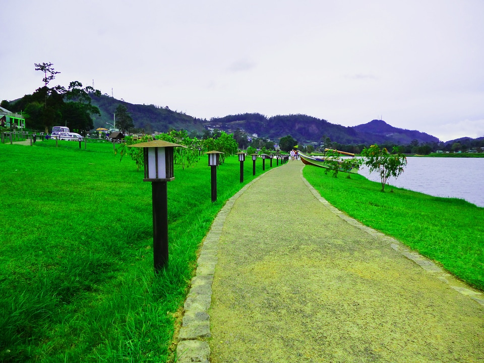 Lawn green landscape