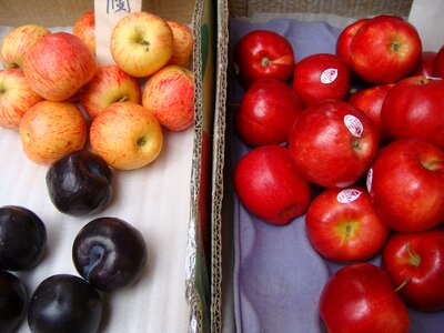 Food fruit red photo