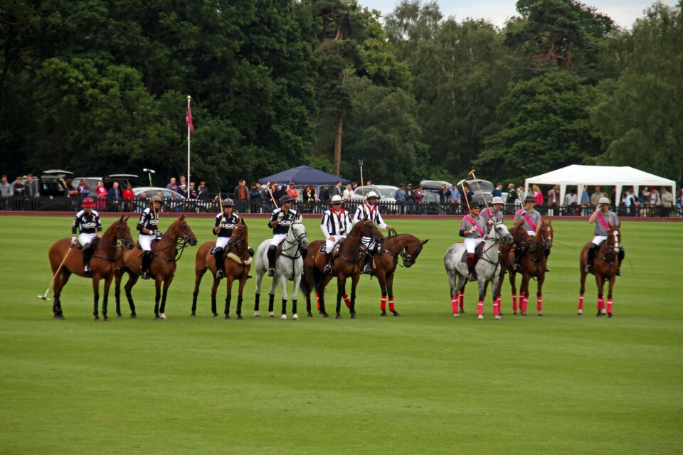 Horses players green team