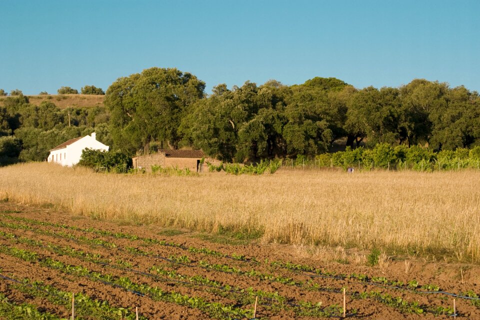 Portugal rural