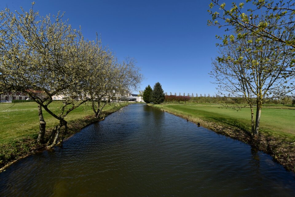 Water landscape tree