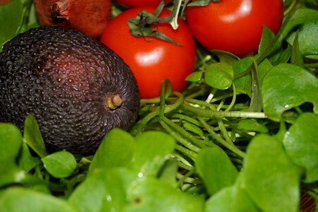 Tomato eat salad