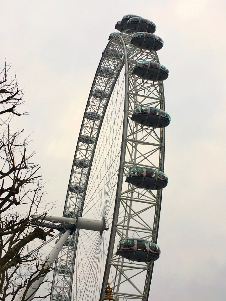 Millennium london eye