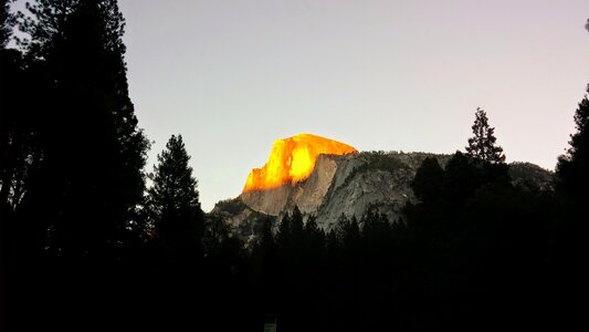 Forest national park california photo