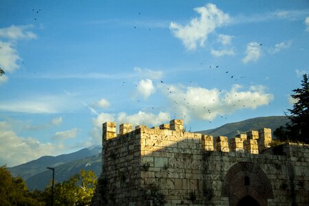 Sky clouds birds