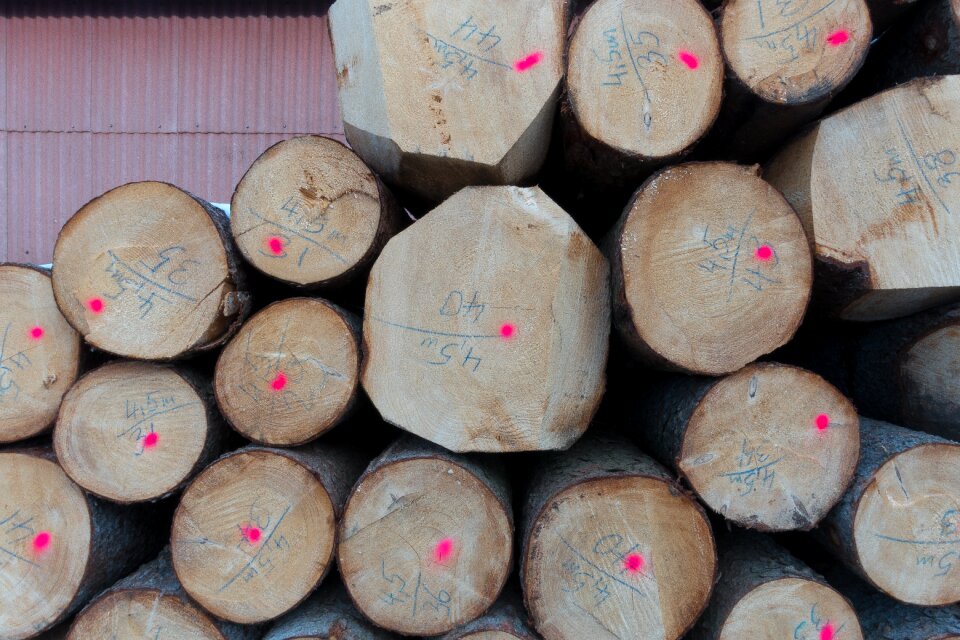 Valuable timber storage