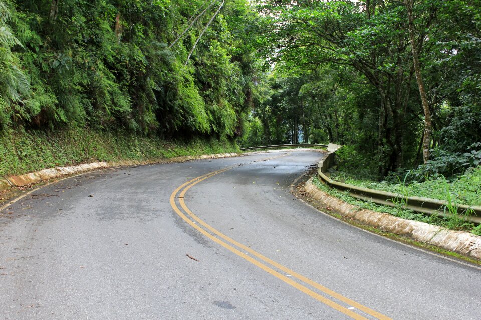 Nature paraná serpantine