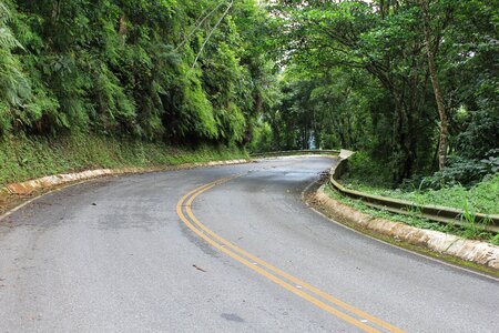 Nature paraná serpantine