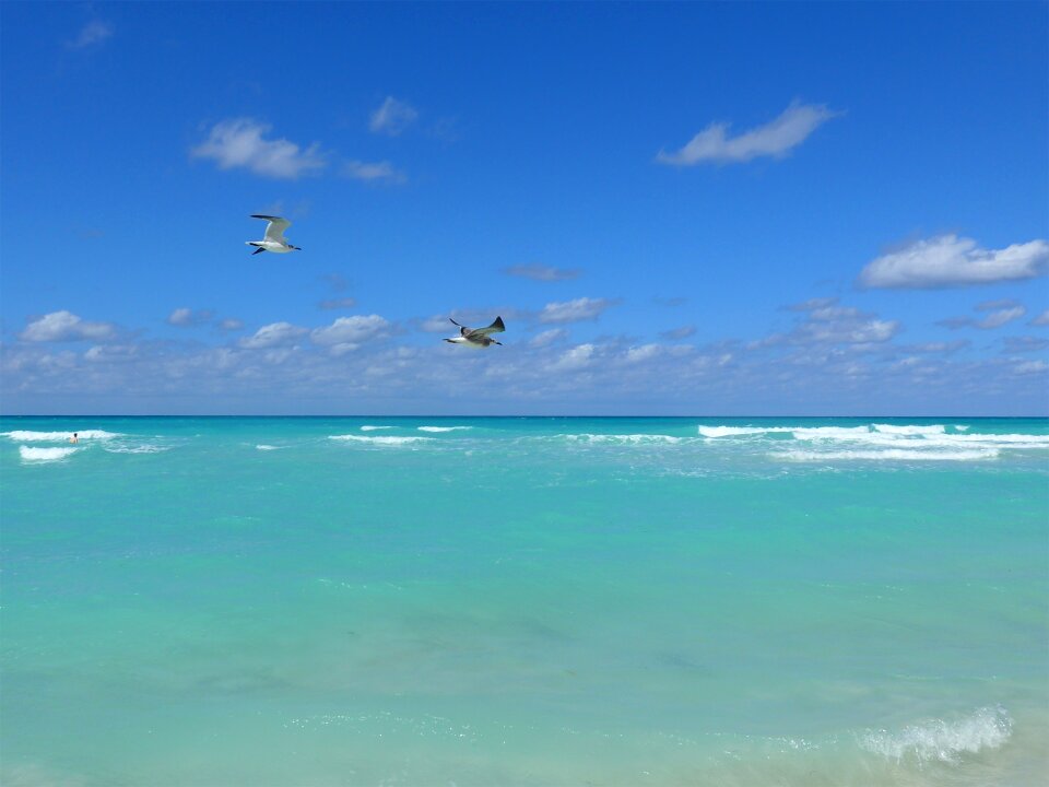 Sea sun clouds photo