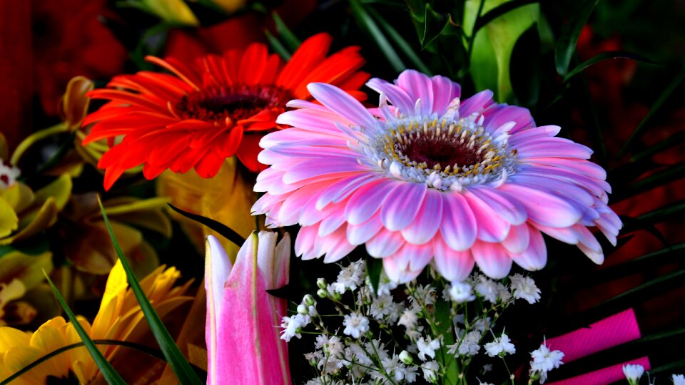 Flower bouquet cut flower colorful bouquet photo