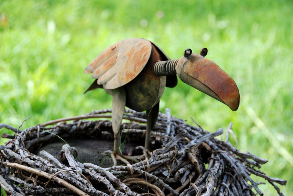 Tinny bird rusty branches