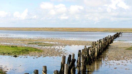 Low tide wadden sea coast