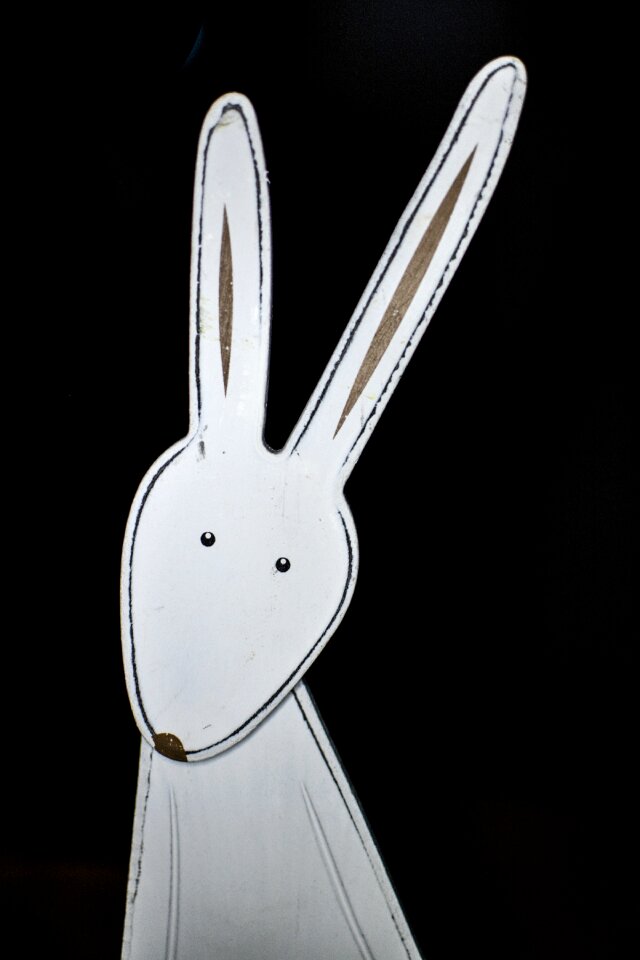 Easter bunny pet ears