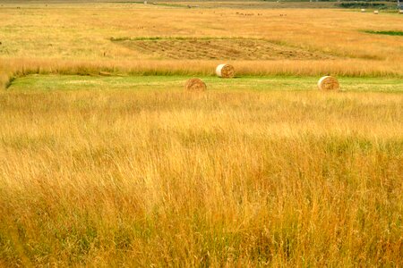 Collection bales hay photo