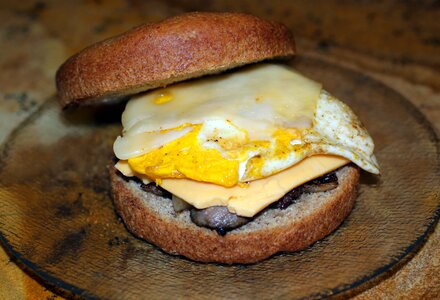 American swiss spelt