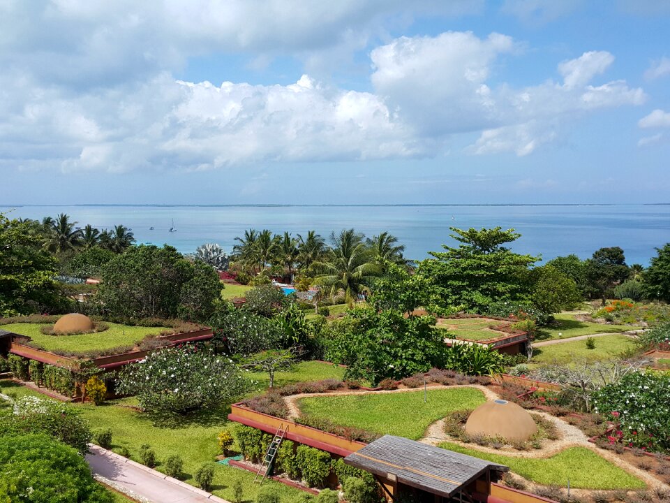 Zanzibar sky tropical