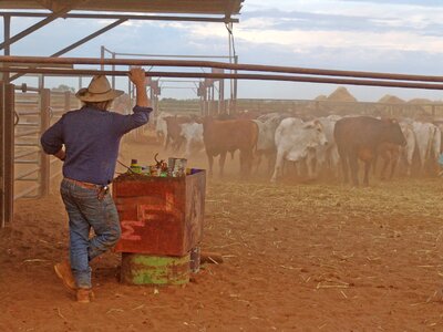 Drover australia