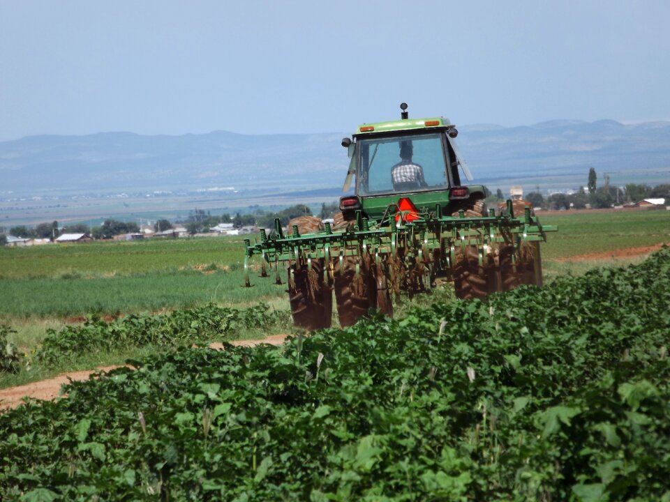Mexico tractor spring