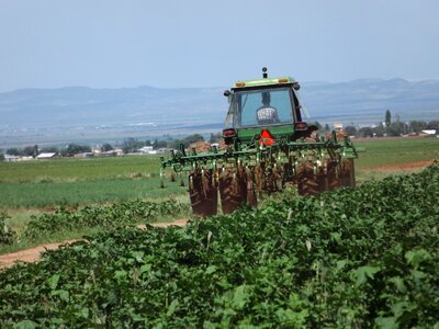 Mexico tractor spring photo