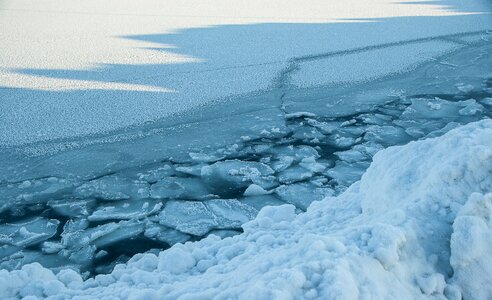 Ice floe sea jelly artic ocean