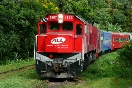 Train brazil curitiba