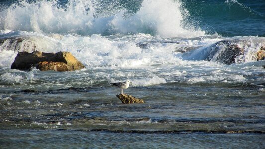 Rocky coast waves smashing photo
