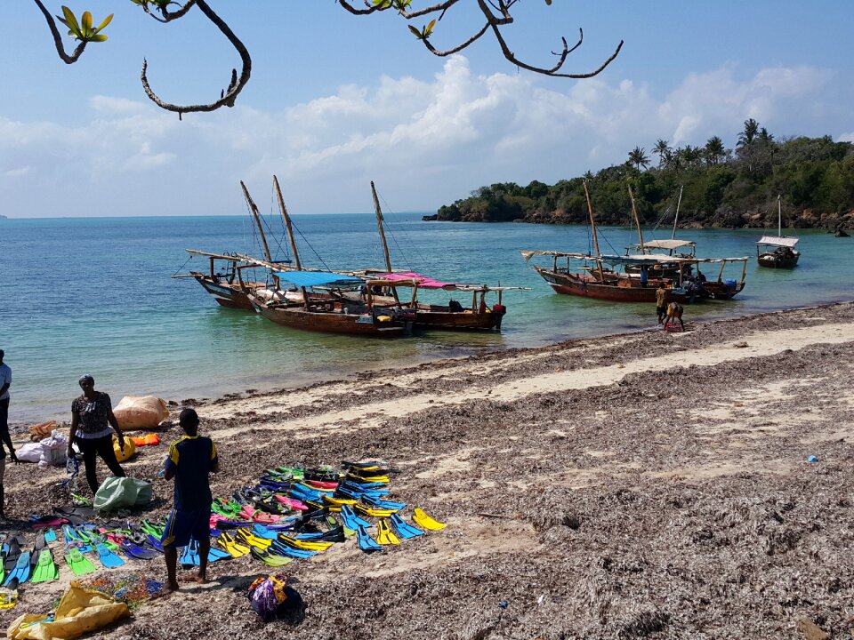 Tropical africa the coast photo