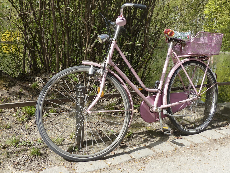 Transportation fun cycle