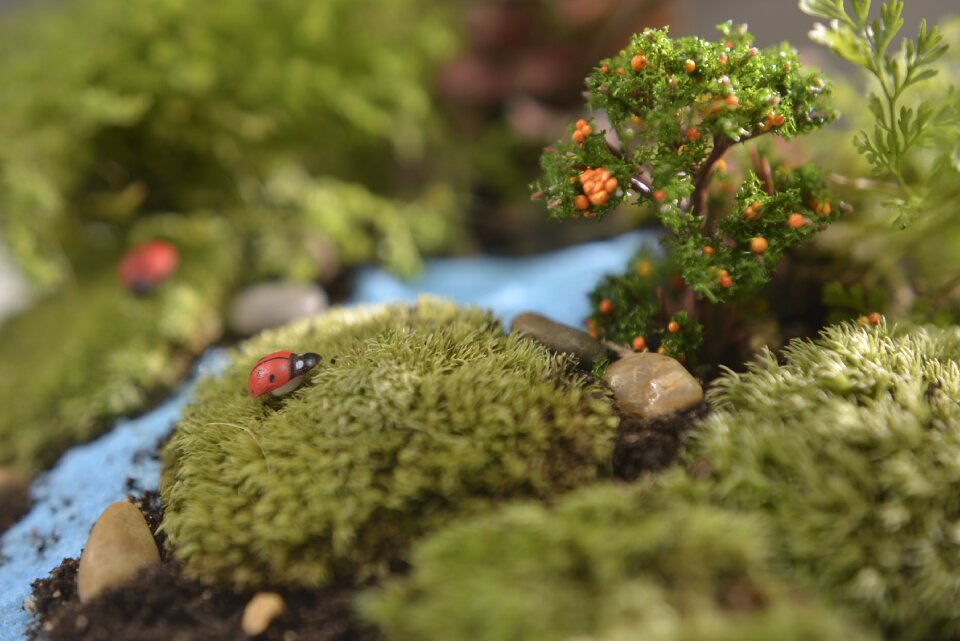 Green elf properties
