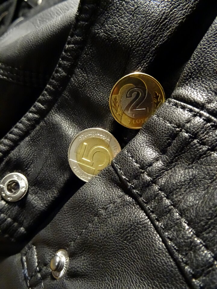 Means of payment coins pay