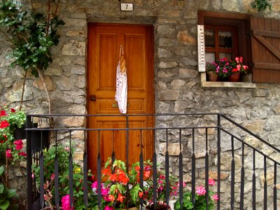 Bread pyrenees plants