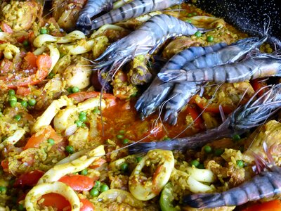 Power supply fish gamba