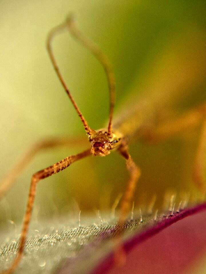 Deep sharpness macro