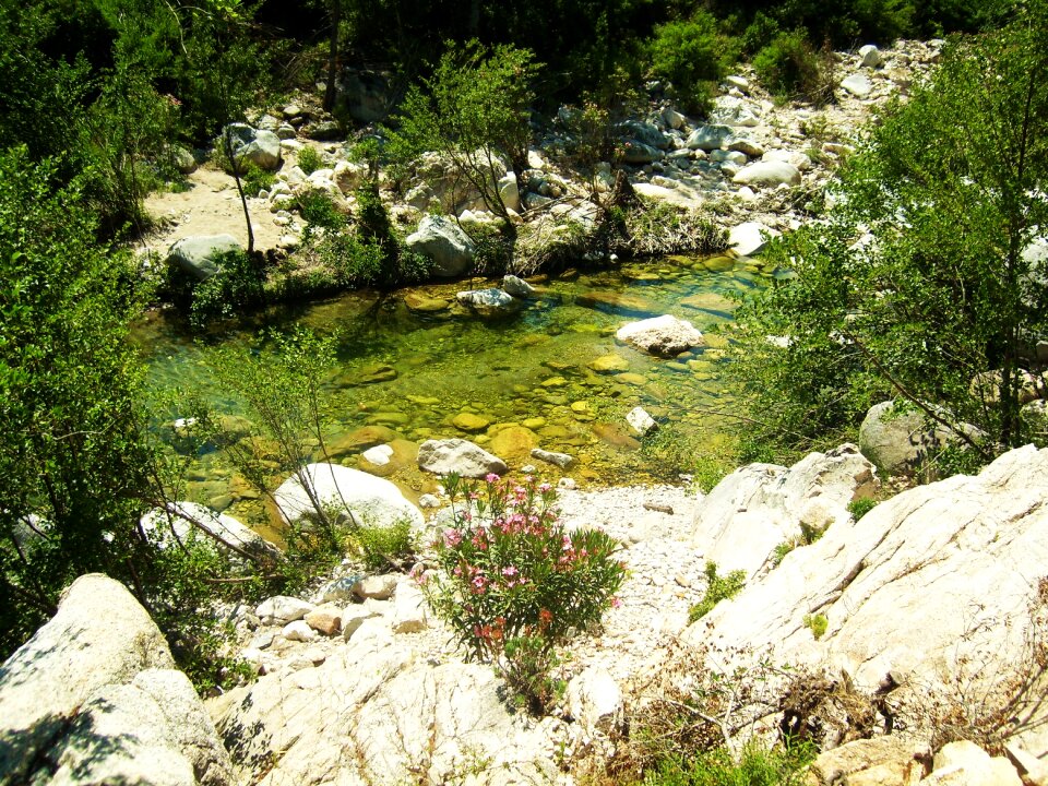 Vegetation rock italy