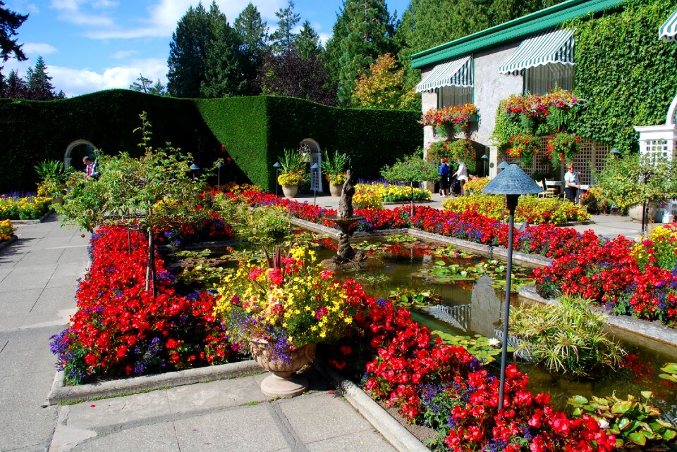 Flowers garden city