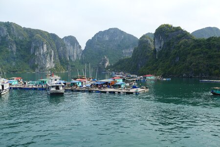 Nature halong bay landscape