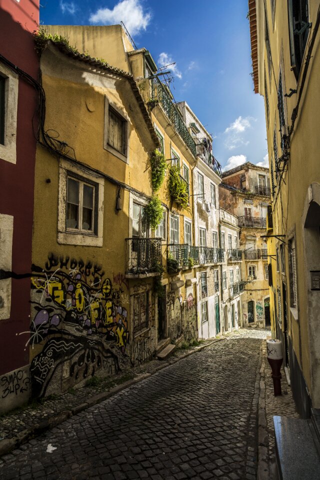 Houses colors summer