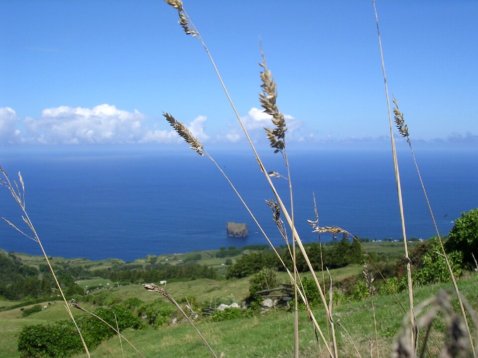Ocean green vacations
