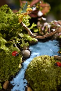Green elf properties