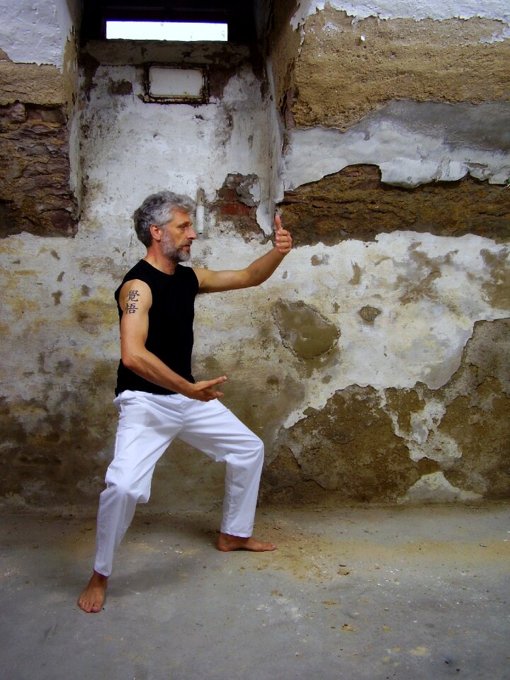 Qigong tattoo tattoo arm