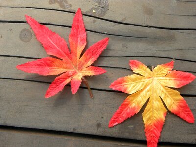 The leaves memory artificial