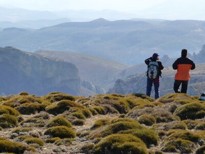 Aragon soria nature
