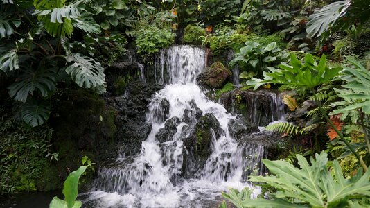 Waterfall cambodia nature